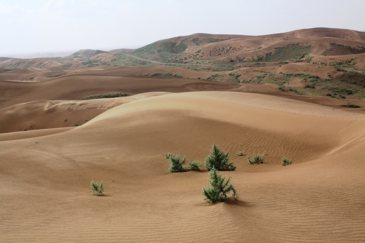 Climate and environmental change in arid Central Asia : Impacts 